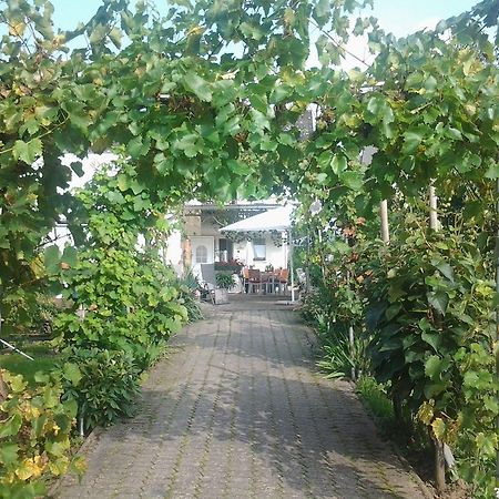 Ferienweingut Arnold Thiesen Apartment Bruttig-Fankel Bagian luar foto