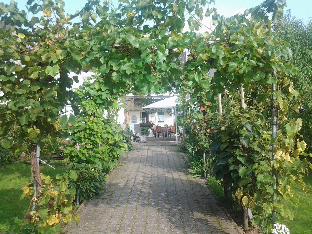 Ferienweingut Arnold Thiesen Apartment Bruttig-Fankel Bagian luar foto