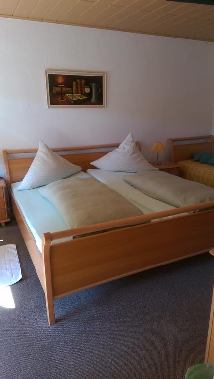 Ferienweingut Arnold Thiesen Apartment Bruttig-Fankel Bagian luar foto
